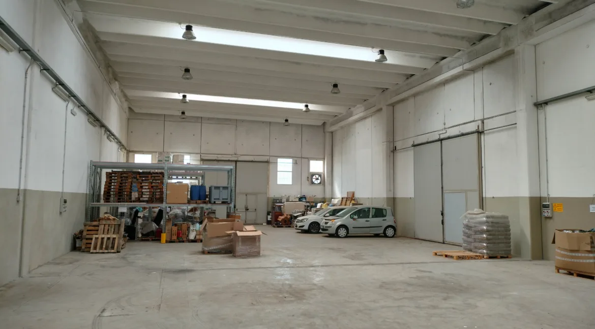 Copia di IMG20240411110750_01
