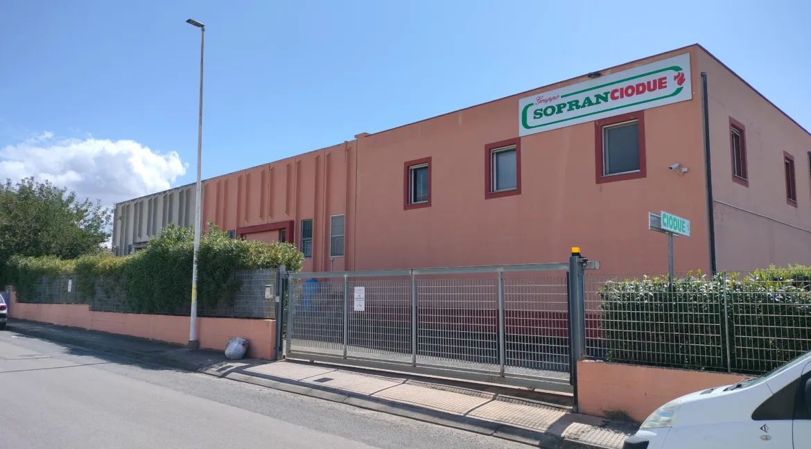 Copia di IMG20240411114130